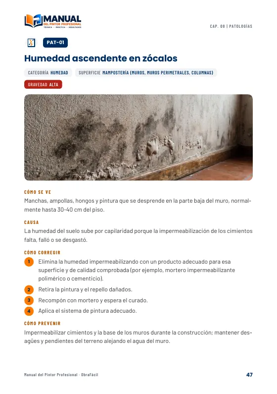 Ficha de humedad ascendente